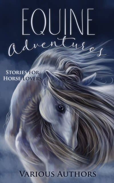 Cover for Equine Adventures