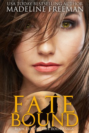 Cover for Fate Bound