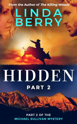 Cover for Hidden Part 2