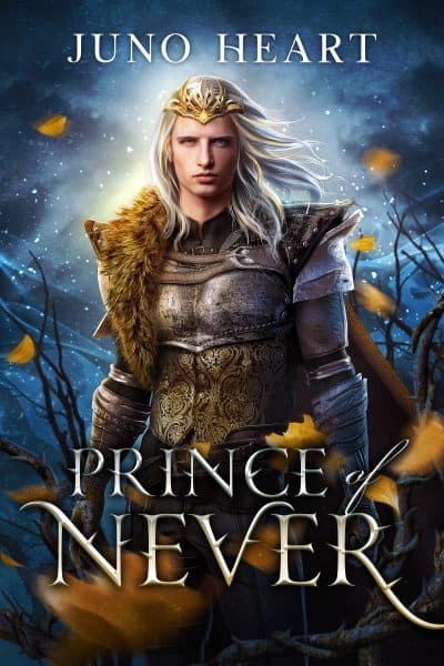 Cover for Prince of Never