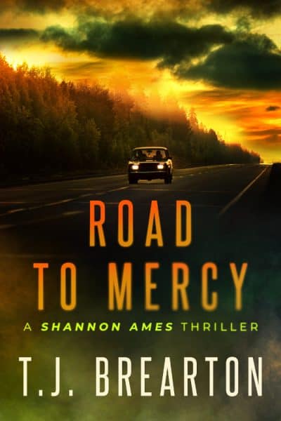 Cover for Road to Mercy