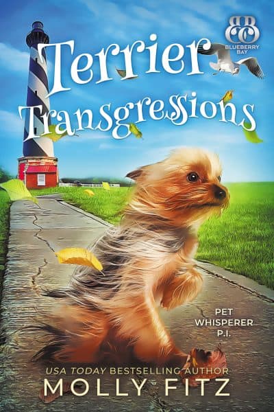 Cover for Terrier Transgressions