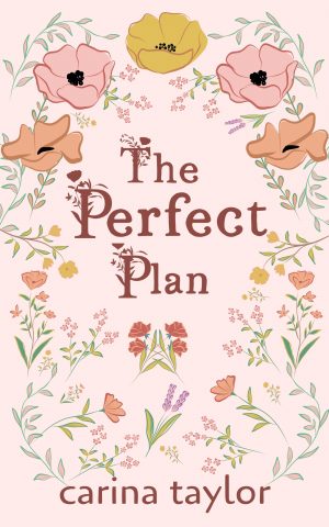 Cover for The Perfect Plan