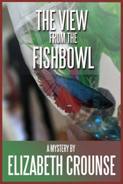 Cover for The View from the Fishbowl