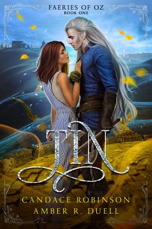 Cover for Tin