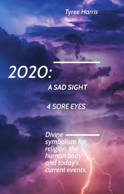 Cover for 2020: A Sight for Sore Eyes