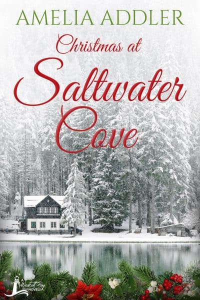Cover for Christmas at Saltwater Cove