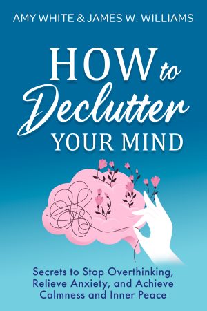 Cover for How to Declutter Your Mind
