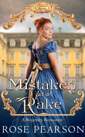 Cover for Mistaken for a Rake