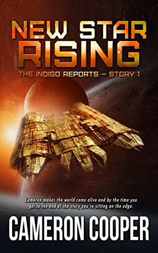 Cover for New Star Rising