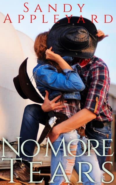 Cover for No More Tears
