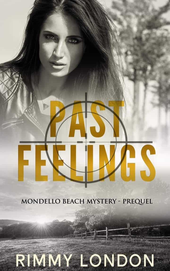 Cover for Past Feeling: A Romantic Suspense trilogy, Series Prequel
