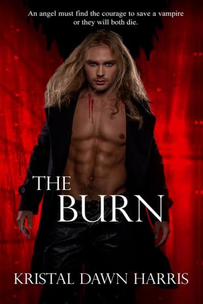 Cover for The Burn