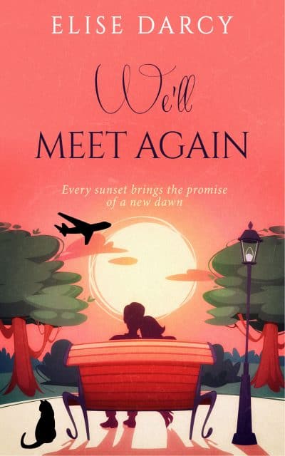 Cover for We'll  Meet Again