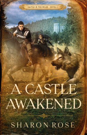 Cover for A Castle Awakened