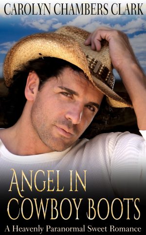 Cover for Angel in Cowboy Boots