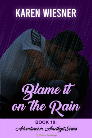 Cover for Blame it on the Rain