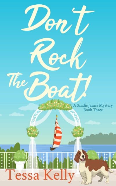 Cover for Don't Rock the Boat!