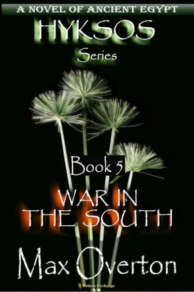 Cover for War in the South