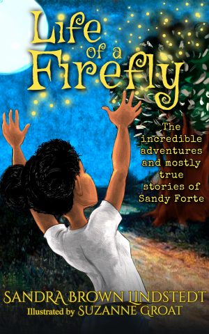 Cover for Life of a Firefly