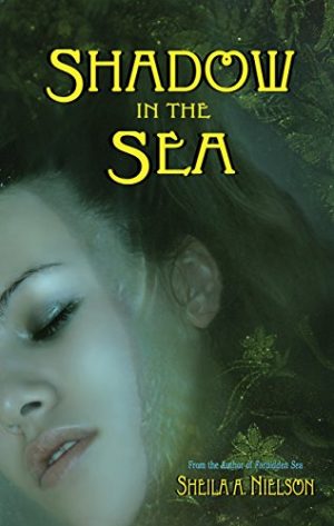 Cover for Shadow in the Sea
