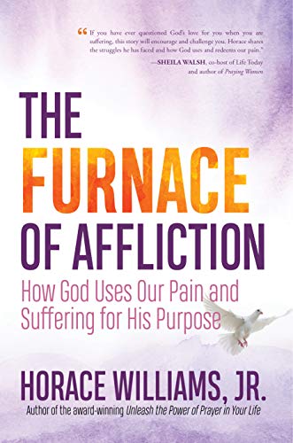 Cover for The Furnace of Affliction
