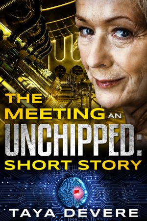 Cover for The Meeting: An Unchipped Short Story