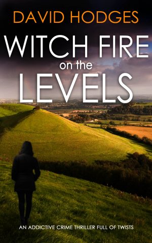 Cover for Witch Fire on the Levels
