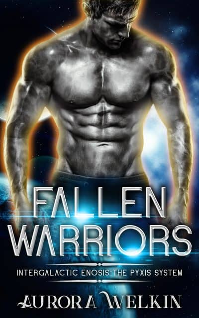Cover for Fallen Warriors