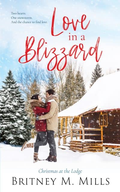 Cover for Love in a Blizzard