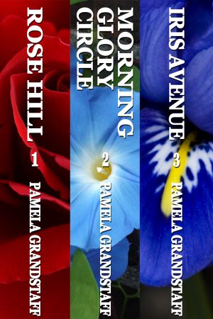 Cover for Rose Hill Mystery Series Three-Book Collection 1-3