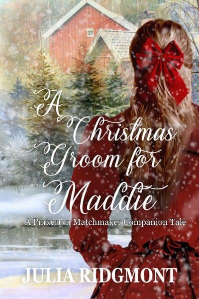 Cover for A Christmas Groom for Maddie