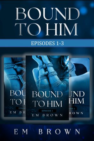 Cover for Bound to Him Box Set