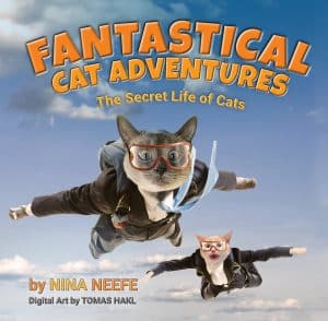 Cover for Fantastical Cat Adventures