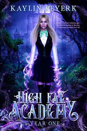 Cover for High Fae Academy Year One