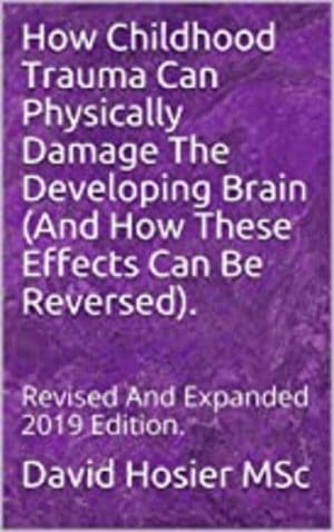 Cover for How Childhood Trauma Can Physically Damage The Developing Brain