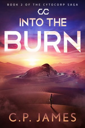 Cover for Into the Burn