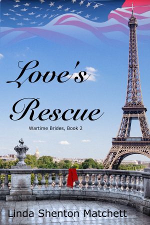 Cover for Love's Rescue