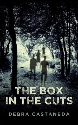 Cover for The Box in the Cuts