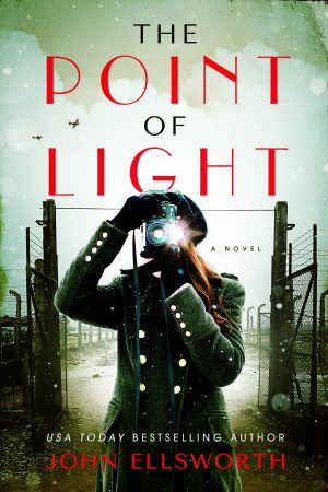 Cover for The Point of Light