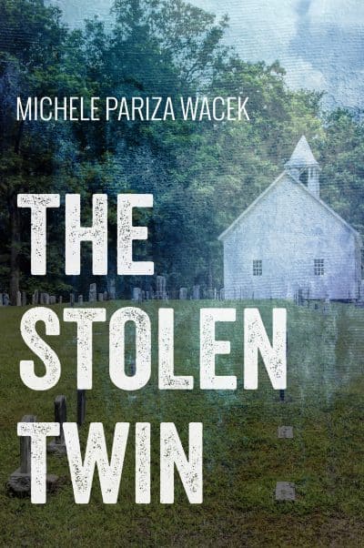 Cover for The Stolen Twin