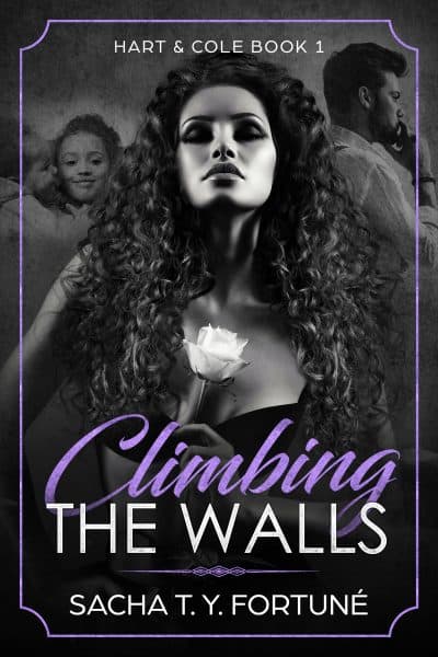Cover for Climbing The Walls