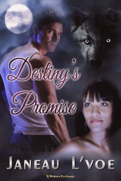 Cover for Destiny's Promise