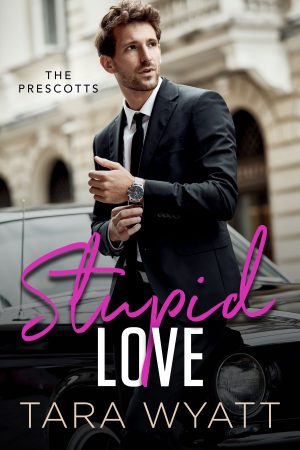 Cover for Stupid Love