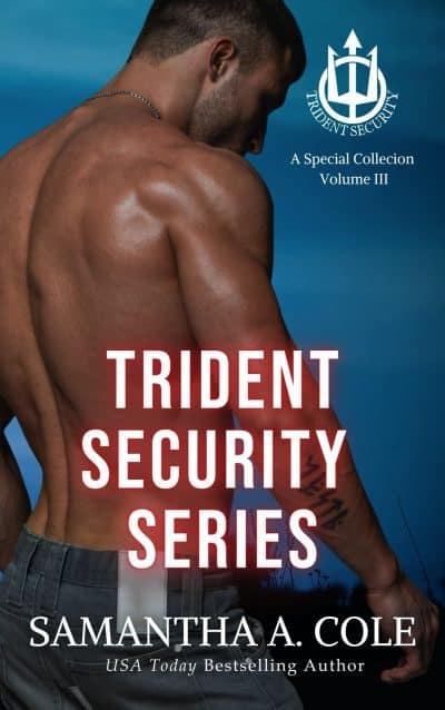 Cover for Trident Security Series: A Special Collection Volume III