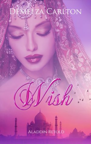 Cover for Wish: Aladdin Retold