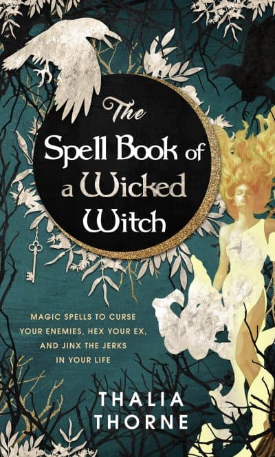Cover for The Spell Book of a Wicked Witch