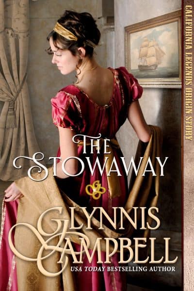 Cover for The Stowaway