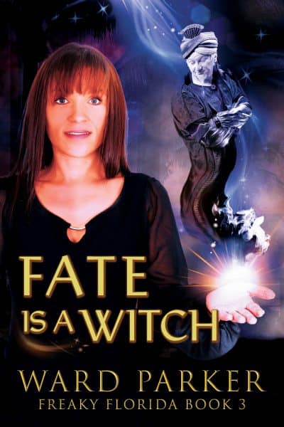 Cover for Fate Is a Witch
