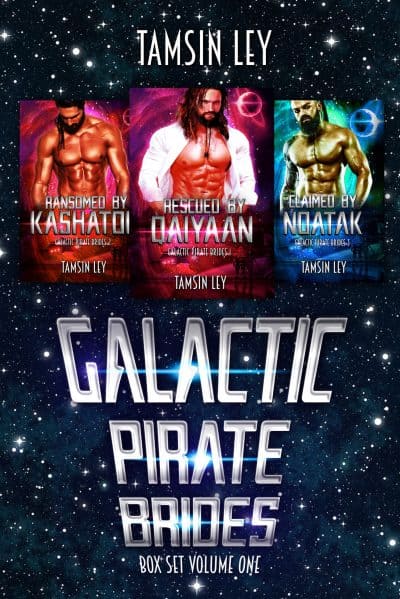 Cover for Galactic Pirate Brides